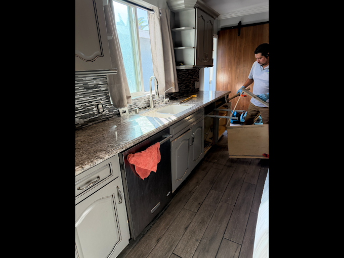 Revive Pro Solutions technician on a mold remediation job